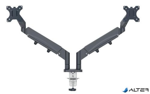 Monitortartó-kar, kettő monitorhoz, LEITZ "Ergo Dual", sötétszürke