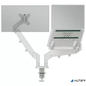   Monitor- és laptoptartó-kar, LEITZ "Ergo Dual", világosszürke