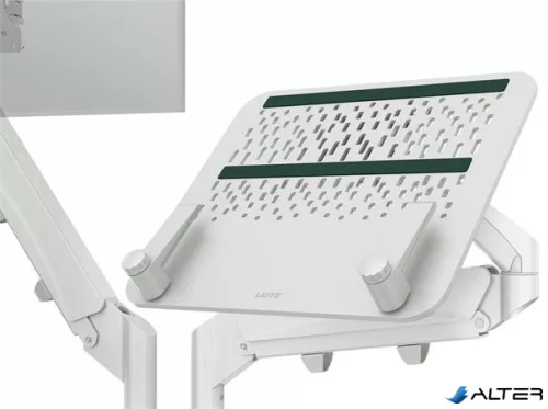 Monitor- és laptoptartó-kar, LEITZ "Ergo Dual", világosszürke