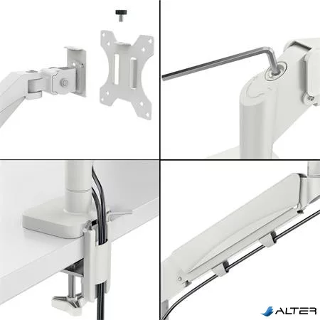 Monitor- és laptoptartó-kar, LEITZ "Ergo Dual", világosszürke