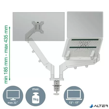 Monitor- és laptoptartó-kar, LEITZ "Ergo Dual", világosszürke