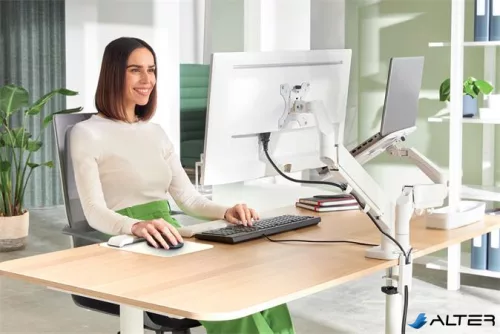 Monitor- és laptoptartó-kar, LEITZ "Ergo Dual", világosszürke