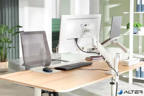Monitor- és laptoptartó-kar, LEITZ "Ergo Dual", világosszürke