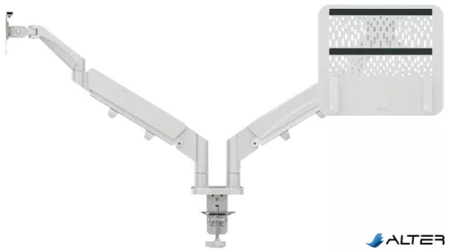 Monitor- és laptoptartó-kar, LEITZ "Ergo Dual", világosszürke