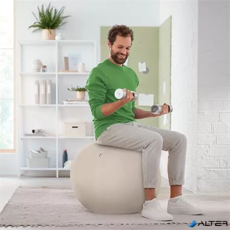 Ülőlabda, nehezékkel, 55cm, LEITZ "Ergo Active", világosszürke