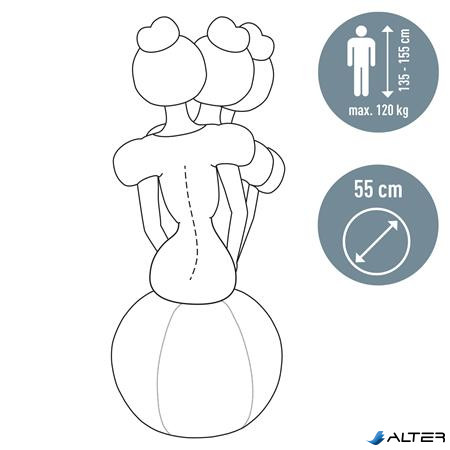 Ülőlabda, nehezékkel, 55cm, LEITZ "Ergo Active", sötétszürke