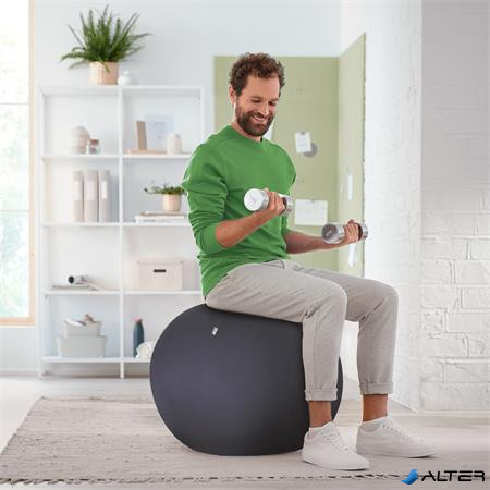 Ülőlabda, nehezékkel, 55cm, LEITZ "Ergo Active", sötétszürke