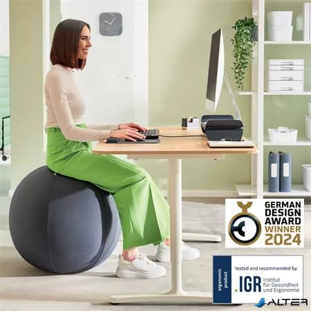Ülőlabda, nehezékkel, 65cm, LEITZ "Ergo Active", sötétszürke