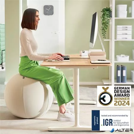 Ülőlabda, nehezékkel, 75cm, LEITZ "Ergo Active", világosszürke