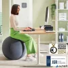 Ülőlabda, nehezékkel, 75cm, LEITZ "Ergo Active", sötétszürke