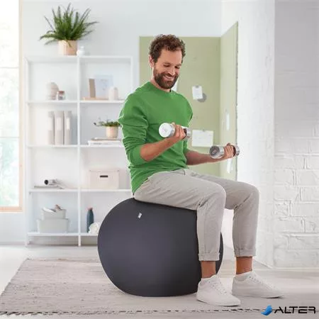 Ülőlabda, nehezékkel, 75cm, LEITZ "Ergo Active", sötétszürke