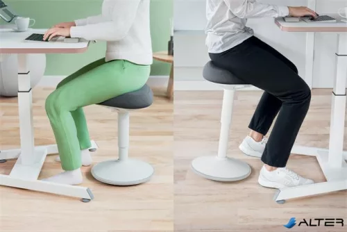 Ülőszék, billenő, ergonomikus, LEITZ "Ergo Active", világosszürke