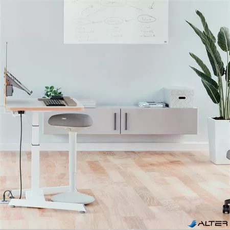 Állószék, billenő, ergonomikus, LEITZ "Ergo Active", világosszürke