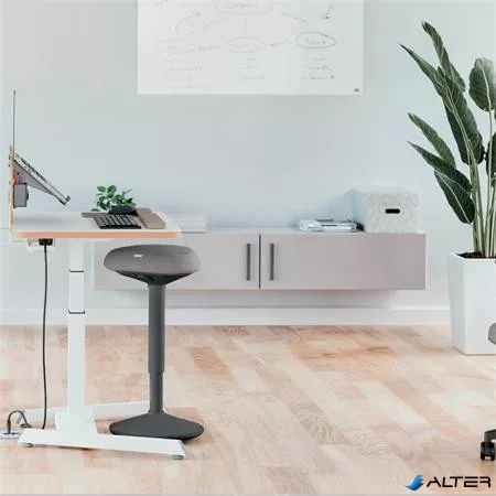 Állószék, billenő, ergonomikus, LEITZ "Ergo Active", sötétszürke