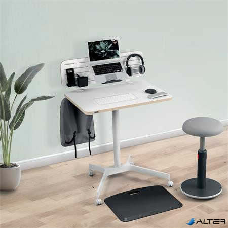 Asztali rendszerező, 42x25 cm, LEITZ "Ergo"