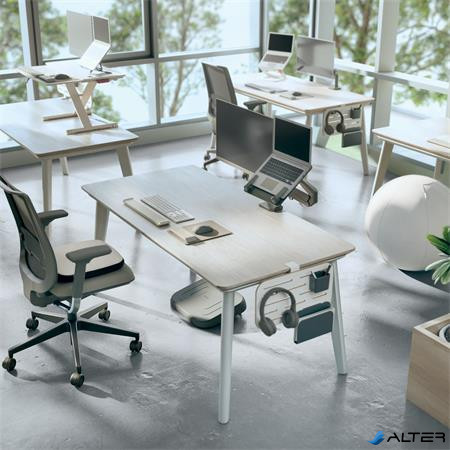 Asztali rendszerező, 42x25 cm, LEITZ "Ergo"