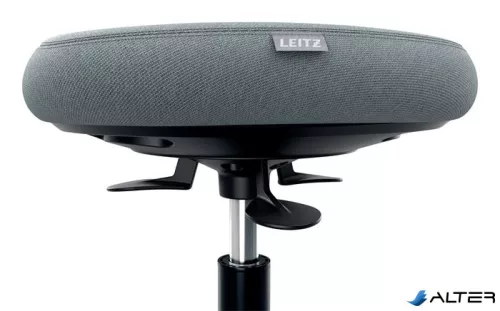 Munkaszék, görgős, ergonomikus, LEITZ "Ergo Comfort Active", világosszürke