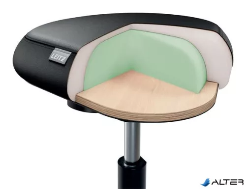 Munkaszék, görgős, ergonomikus, LEITZ "Ergo Comfort", sötétszürke