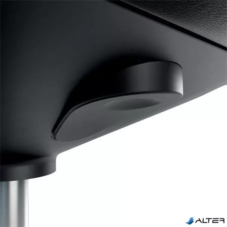 Munkaszék, görgős, ergonomikus, LEITZ "Ergo Comfort", sötétszürke