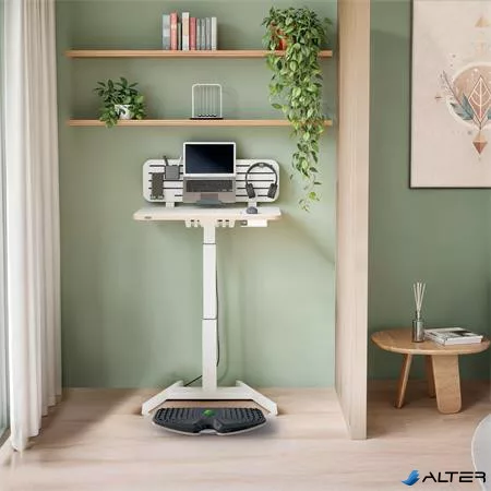 Egyensúlyozó deszka, ergonómiai, LEITZ "Ergo Active"