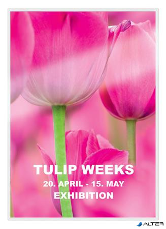 Meleglamináló fólia, 125 mikron, A5, fényes, UDT technológiával, LEITZ "iLam"