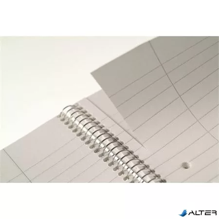 Spirálfüzet, A4, kockás, 70 lap, ESSELTE