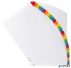 Regiszter, karton, A4, 1-31, EXACOMPTA, fehér