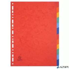 Regiszter, karton, A4, 12 részes, EXACOMPTA, színes
