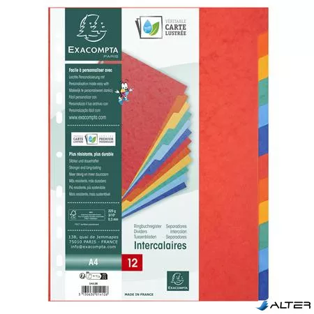 Regiszter, karton, A4, 12 részes, EXACOMPTA, színes