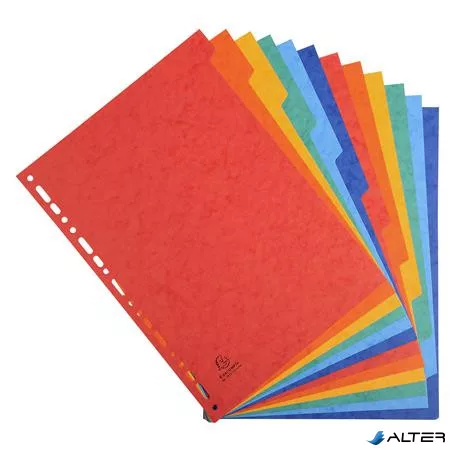 Regiszter, karton, A4, 12 részes, EXACOMPTA, színes
