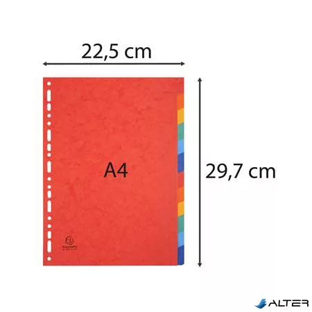 Regiszter, karton, A4, 12 részes, EXACOMPTA, színes