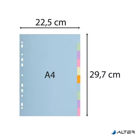Regiszter, karton, A4, 10 részes, EXACOMPTA, pasztell színek