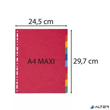 Regiszter, karton, A4+, 10 részes, EXACOMPTA, színes
