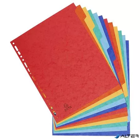 Regiszter, karton, A4+, 12 részes, EXACOMPTA, színes