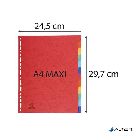 Regiszter, karton, A4+, 12 részes, EXACOMPTA, színes