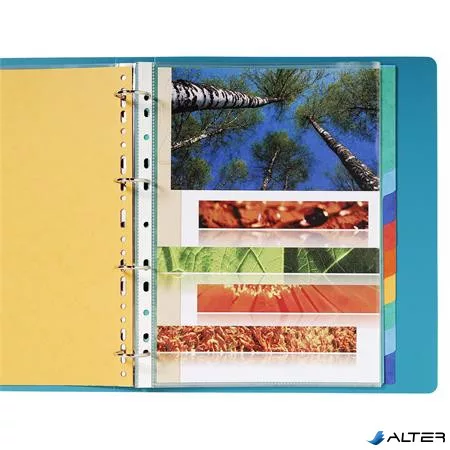 Regiszter, karton, A4+, 12 részes, EXACOMPTA, színes