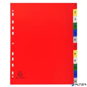 Regiszter, műanyag, A4+, 1-12, EXACOMPTA, színes