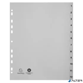 Regiszter, műanyag, A4+, 1-12, EXACOMPTA, szürke