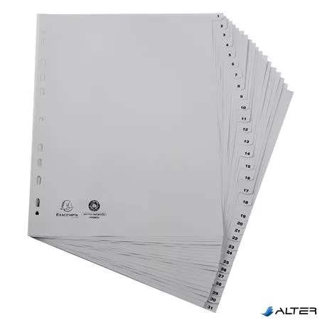 Regiszter, műanyag, A4+, 1-31, EXACOMPTA, szürke