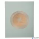 Vendégkönyv, 27x22 cm, 50 lap, EXACOMPTA "Ellipse", zöld