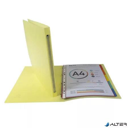 Gyűrűs könyv, 4 gyűrű, 20 mm, A4, PP, EXACOMPTA "Chromaline", vegyes pasztell színek