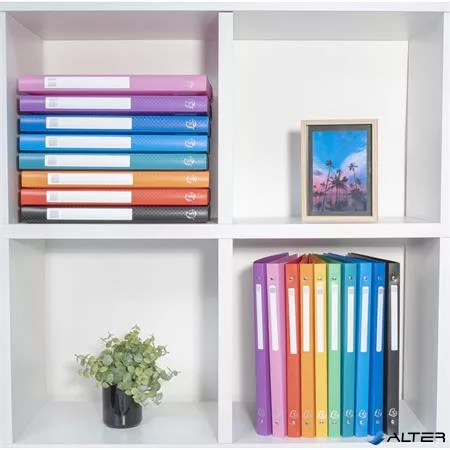 Gyűrűs könyv, 4 gyűrű, 20 mm, A4, PP, címkével, EXACOMPTA, sötétzöld