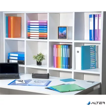 Gyűrűs könyv, 4 gyűrű, 40 mm, A4, PP, EXACOMPTA, fekete