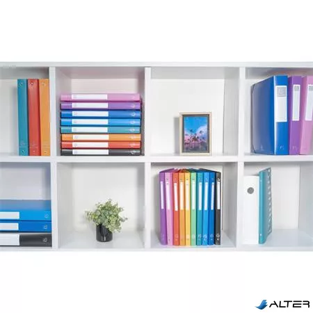 Gyűrűs könyv, 4 gyűrű, 40 mm, A4, PP, EXACOMPTA, sötétzöld