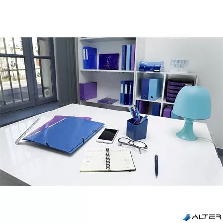 Gyűrűs könyv, 4 gyűrű, 40 mm, A4, karton, EXACOMPTA 'Iderama', világoskék