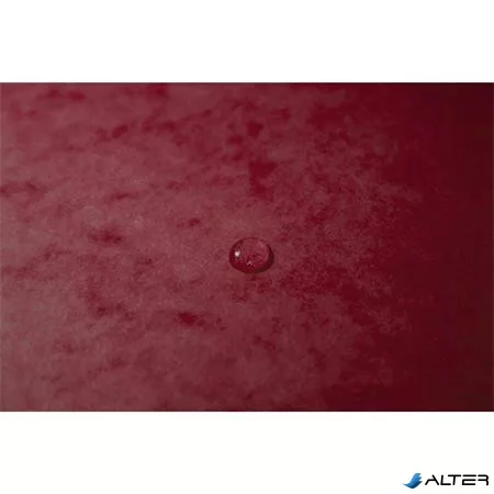 Gumis mappa, prespán, A4, EXACOMPTA, cseresznye