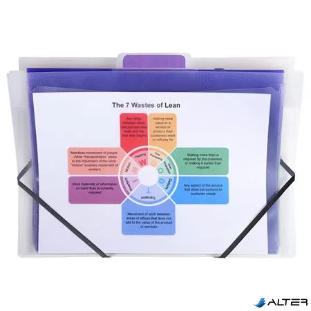 Irattároló, PP, 6 rekeszes, fali, EXACOMPTA