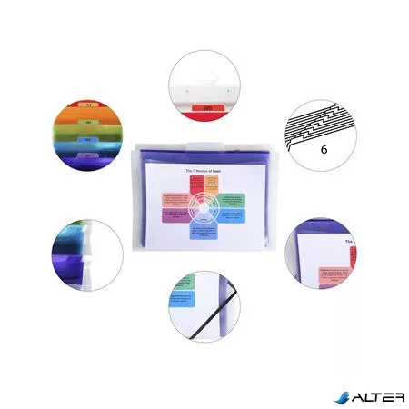 Irattároló, PP, 6 rekeszes, fali, EXACOMPTA