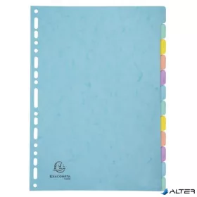   Regiszter, karton, A4, 12 részes, EXACOMPTA "Aquarel"