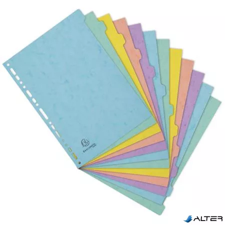 Regiszter, karton, A4, 12 részes, EXACOMPTA "Aquarel"